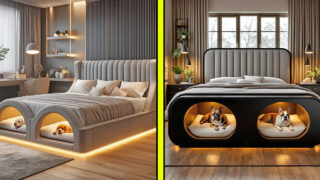 Beds with built-in dog bed pods