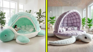 Giant turtle loungers