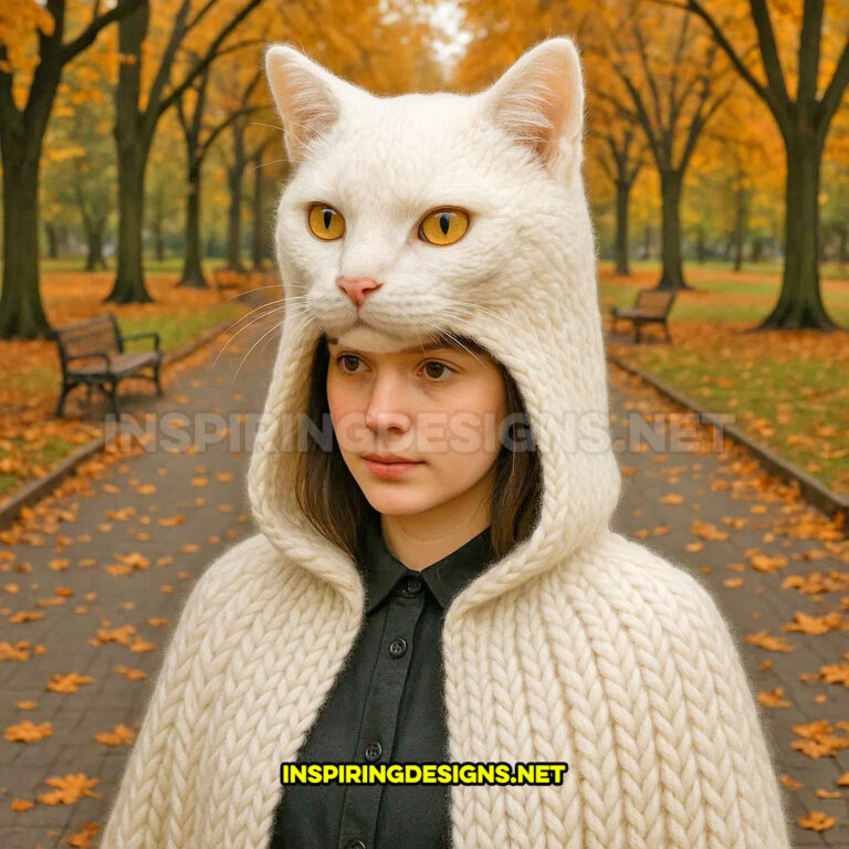COTTON CASHMERE KNIT HOODIE CAT NAP