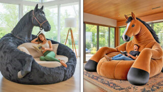 Horse loungers