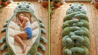 Hugging Caterpillar Sleeping Bags